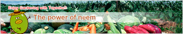 The power of neem
