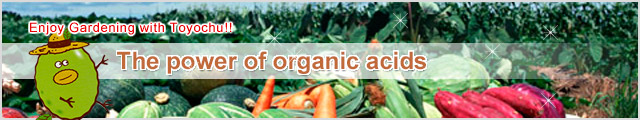 The power of organic acids
