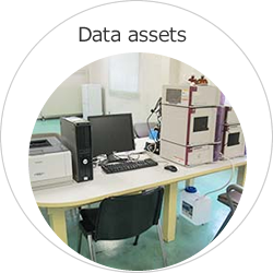Data assets