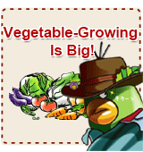 今、野菜づくりが熱い!!
