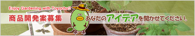 商品開発案募集