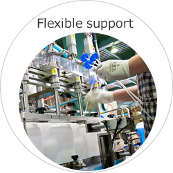 Flexible support