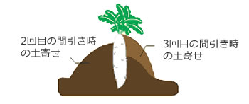 土寄せ