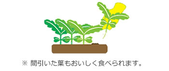 間引作業