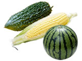 大実野菜