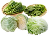 葉もの野菜