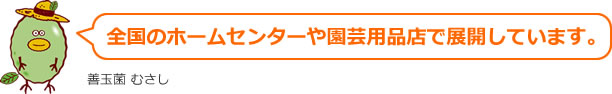 トヨチュー製品