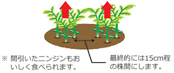 間引作業